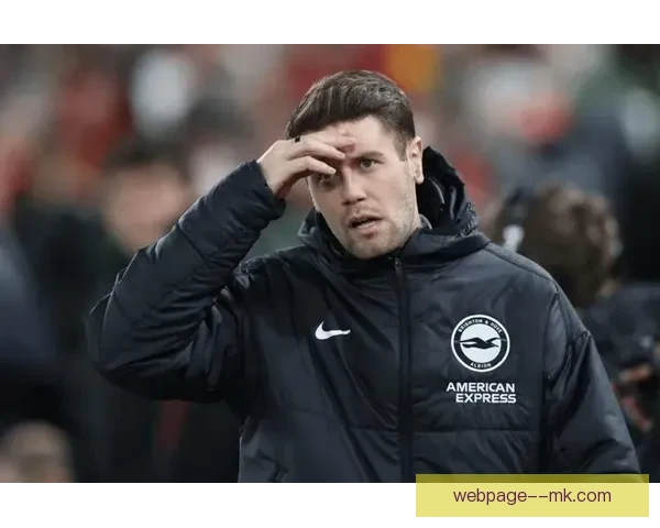 布莱顿史上最年轻主帅诞生 31岁德国少帅法比安许尔泽尔接掌球队